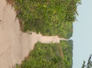 Offroad in Dunes and Sand Trails