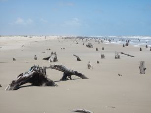 Offroad in Dunes and Sand Trails
