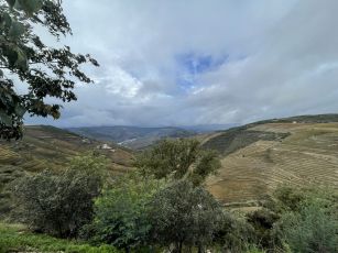 Miradoura da Abelheira