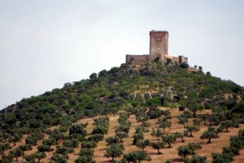 Castillo Feria