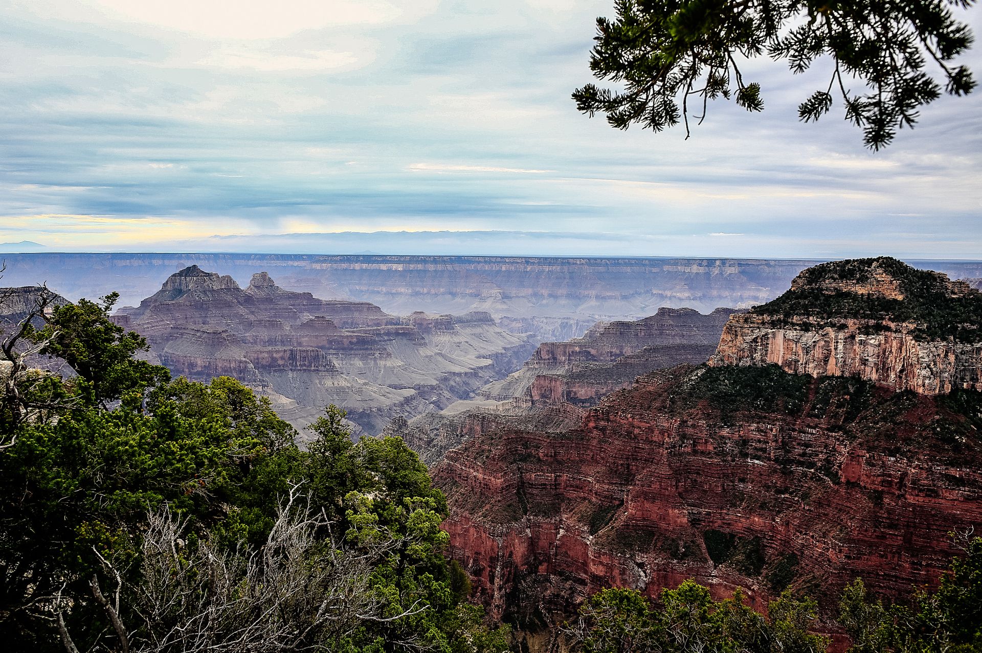 Grand Canyon North Rim | Motorcycle Diaries