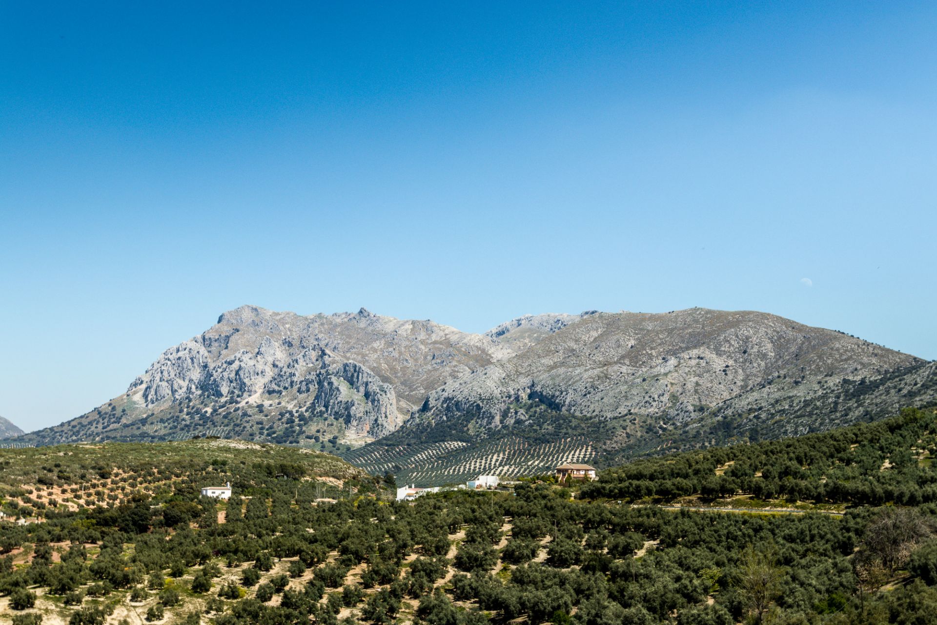 220 motorcycle price