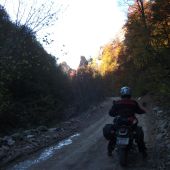 doru dobrota