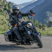 JOSEP MIRO