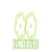 living flowers