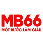 MB66 realty