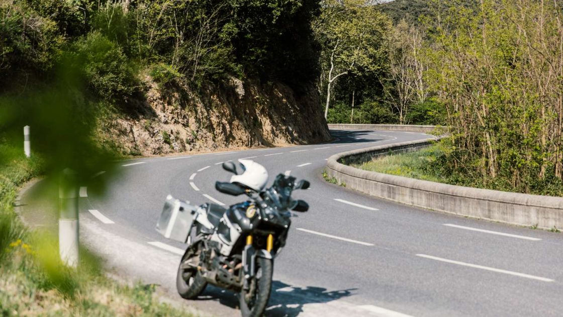 "Good surfaces on the curves of the D115 and C38”