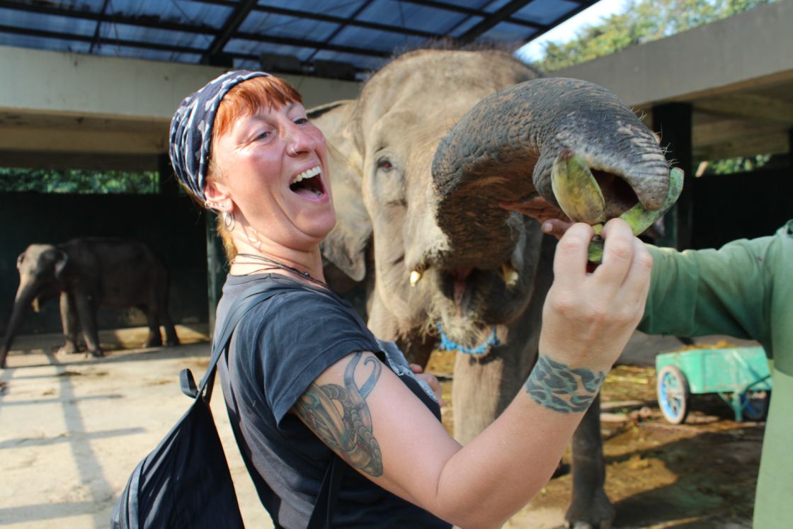 "Simone with the elephants