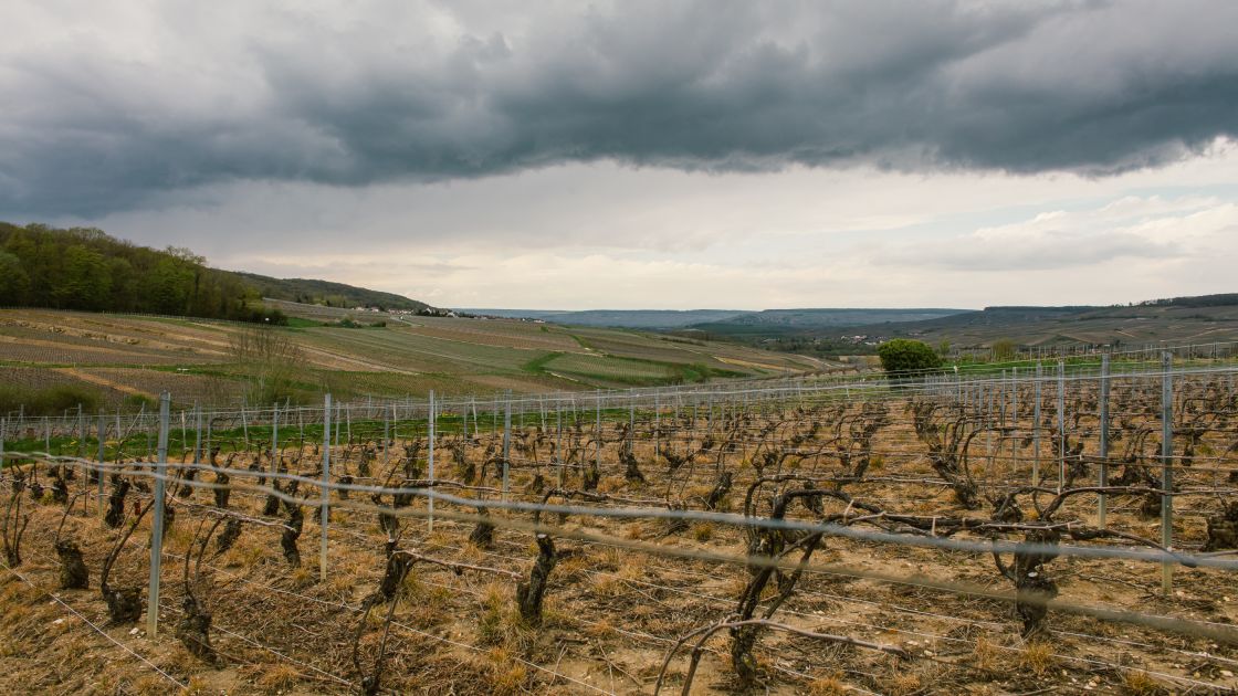 Motorcycle-Diaries Trip: Champagne