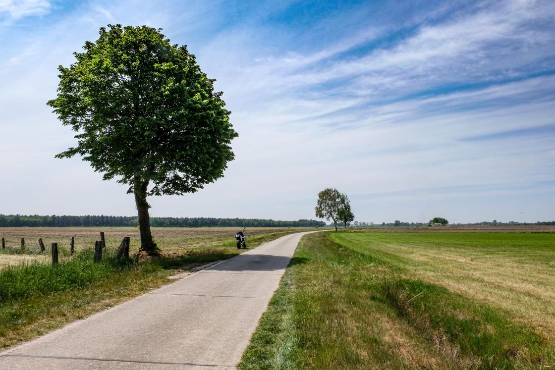 Along the Belgian border