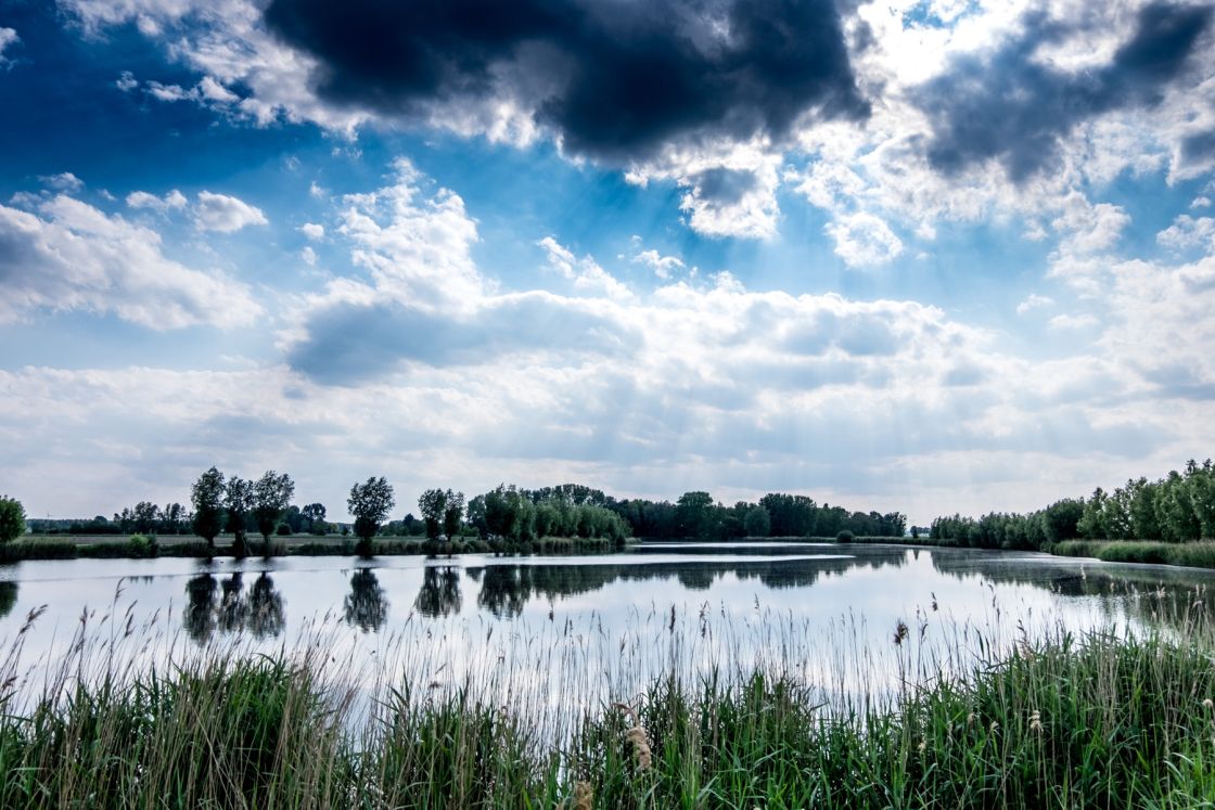 Along the Belgian border