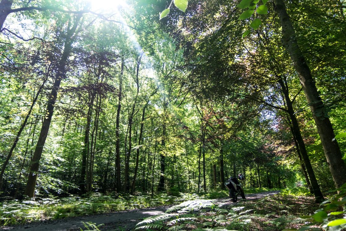 Along the Belgian border