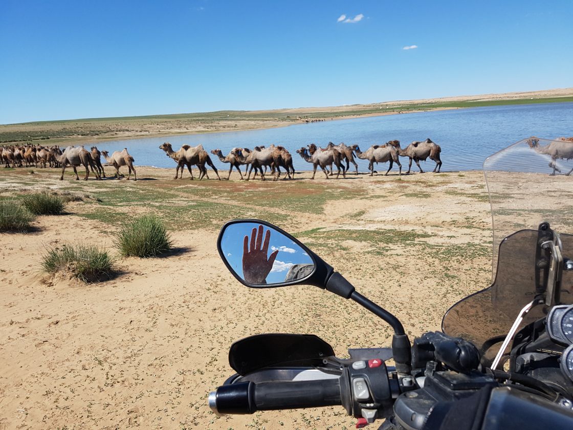 I setup my tent near the camels and headed for the water I was dying to cool myself off. After 6 days with no shower I seriously didn't care how dirty the puddle was or how many camels had pooped in it. I just ran into it and sat down in the murky waters.