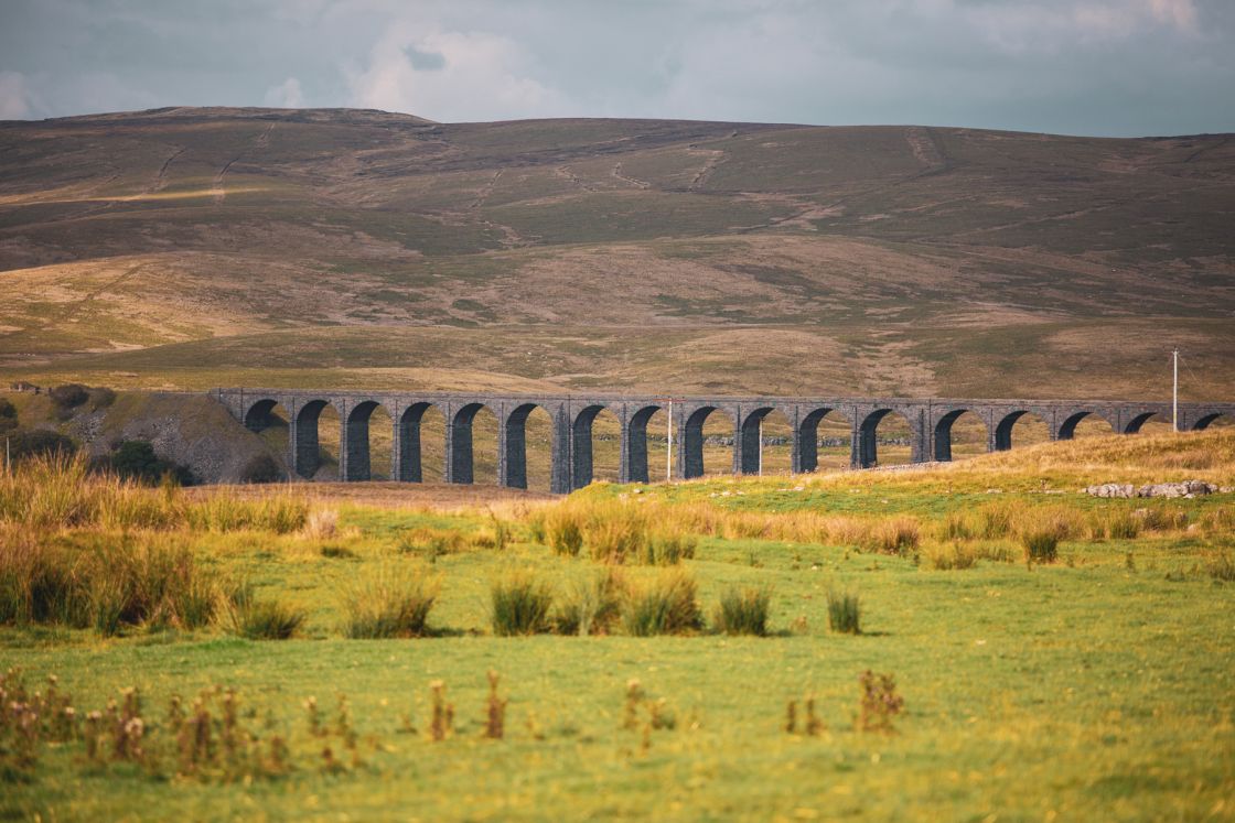 Yorkshire: Meeting bob