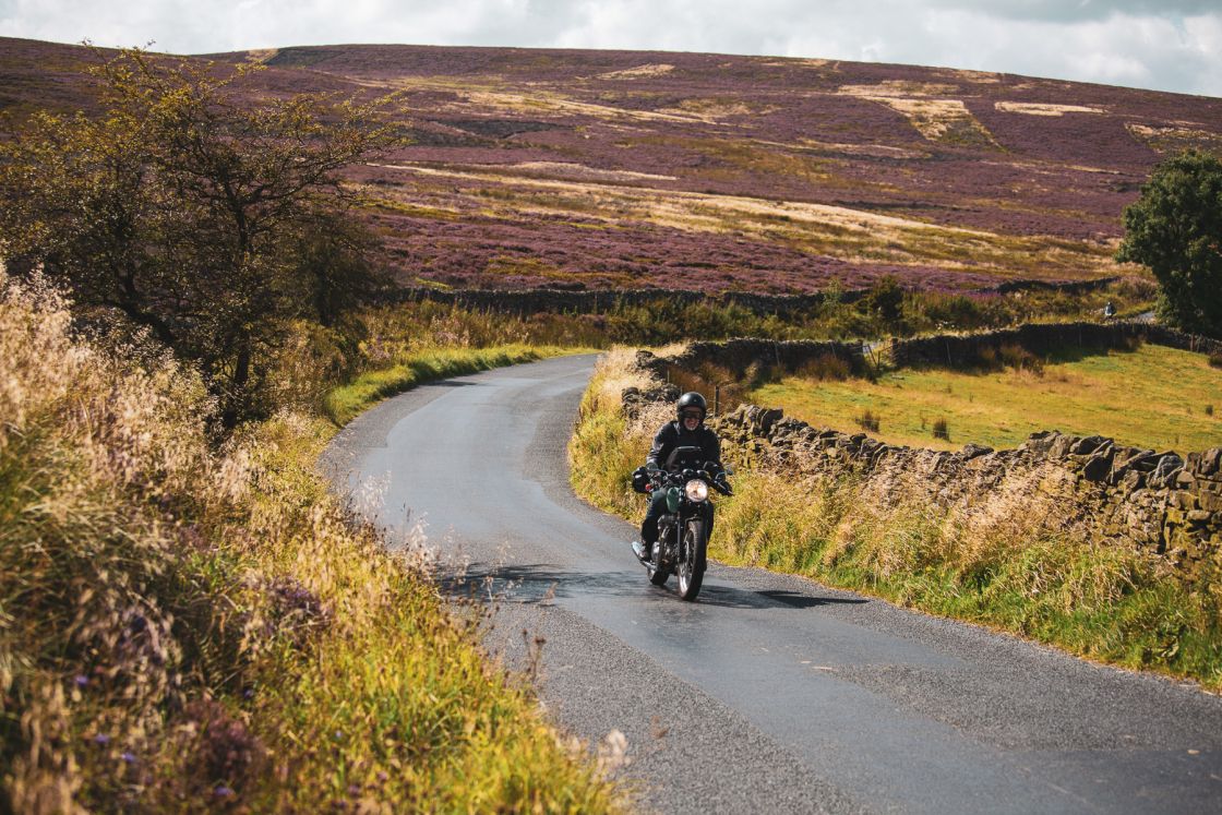 Yorkshire: Meeting bob
