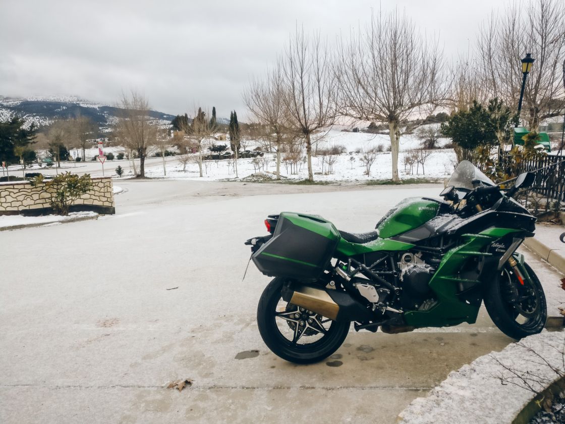 Good morning under the snow.