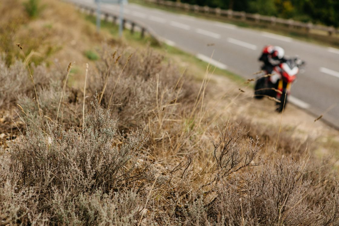 Don't hesitate to stop and enjoy the smell of wild thyme.