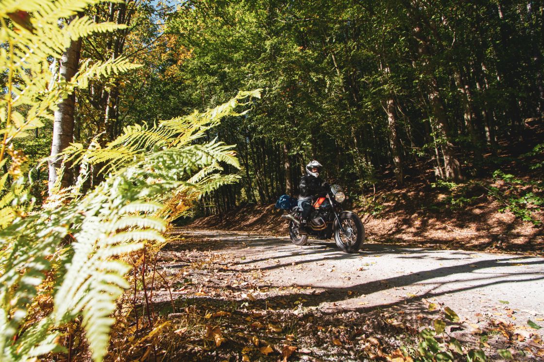 Spessart: Prophylactic winter escape