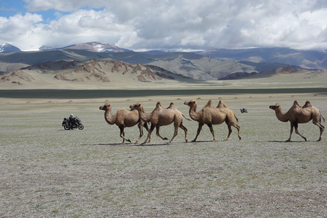 Just a normal day in Western Mongolia.