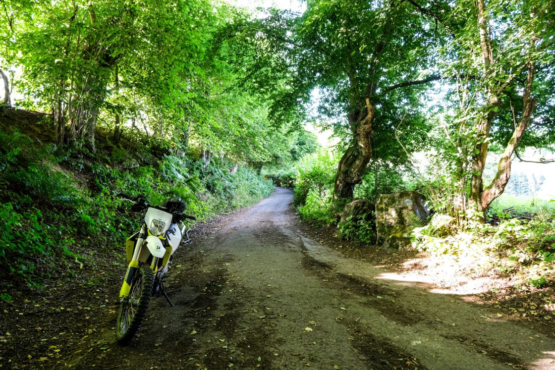 In the Dutch mountains & beyond