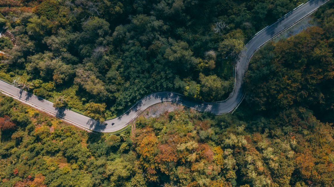 Enjoying the curves of the SS63
