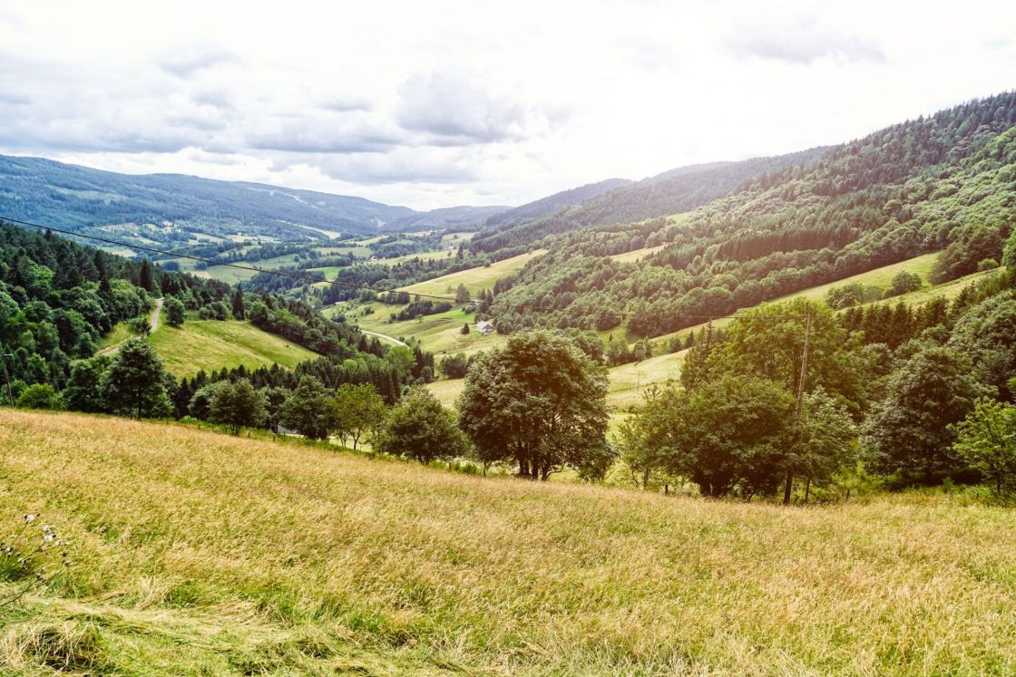 Sleepy Vosges countryside seen from the Col du Louschbach