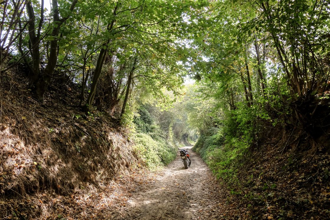 Occasionally the track leads you trough the woods, like here in the Leuven region. But most of the route leads you over field roads.