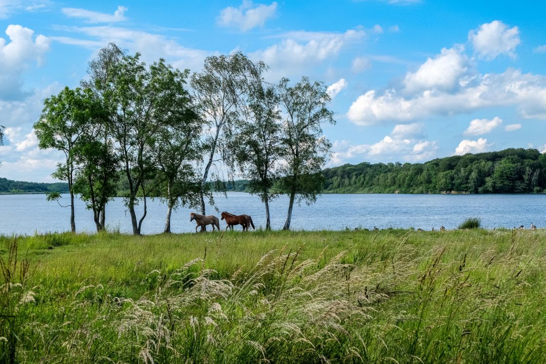 Trans Euro Trail: Denmark