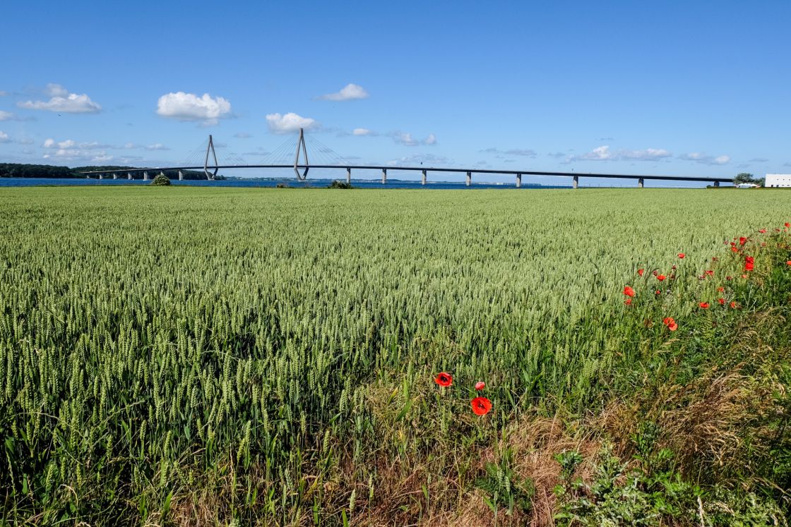 Trans Euro Trail: Denmark