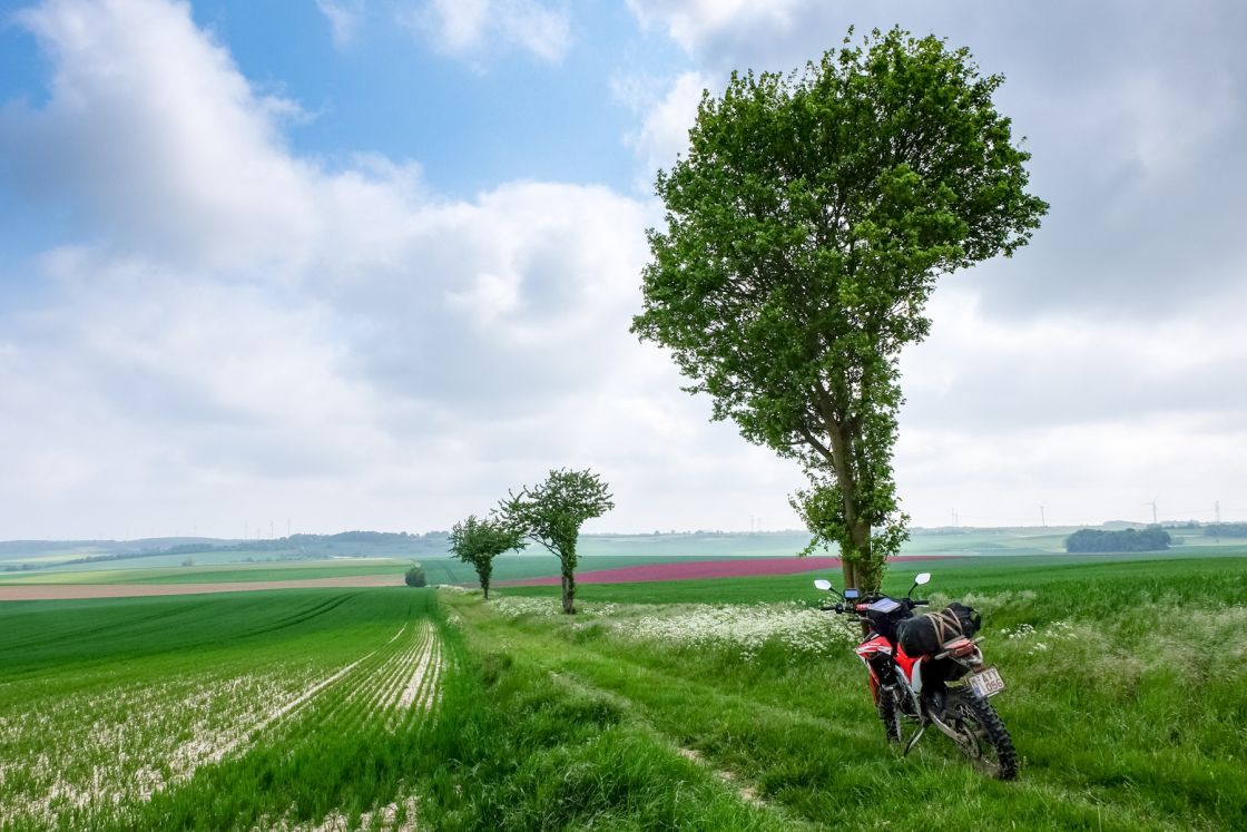 TET Northern France