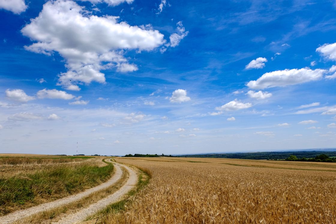 Trans Euro Trail:  France, Section 13 