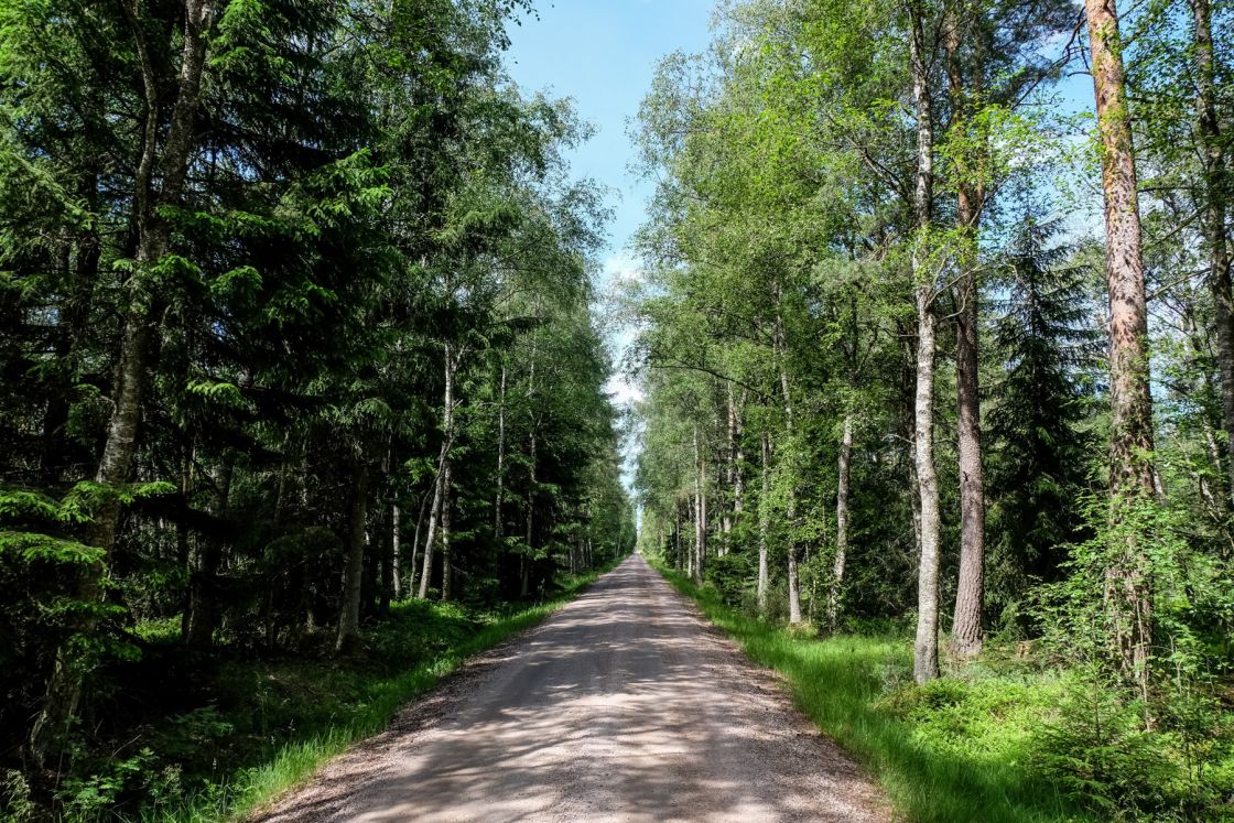 Trans Euro Trail: Sweden