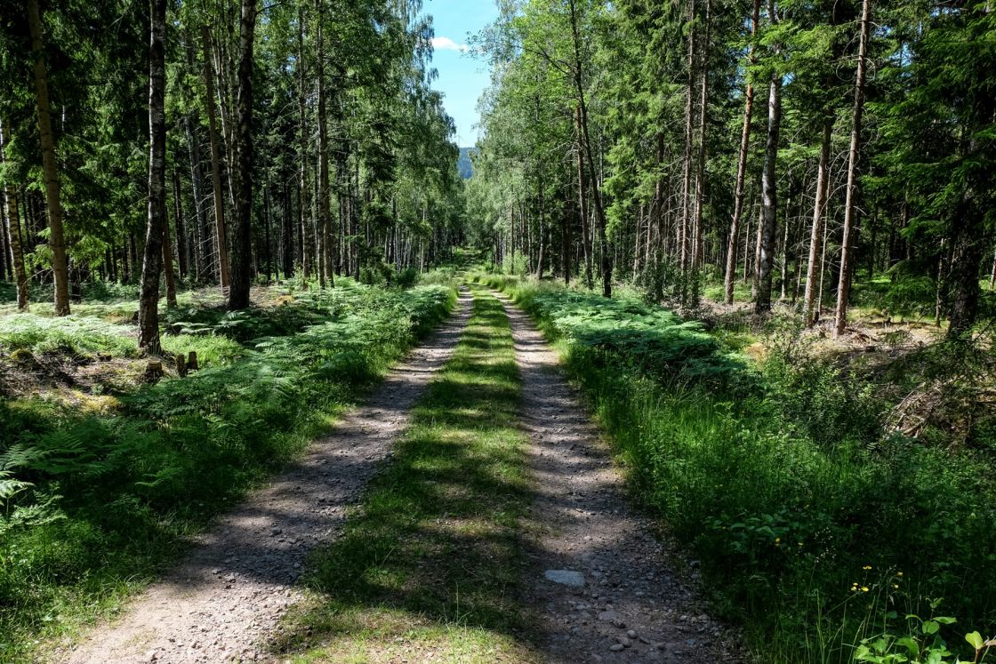 Trans Euro Trail: Sweden