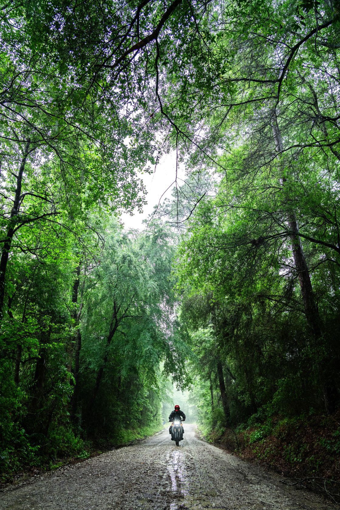 Robert Baldinger is slippery when wet in the mudfest that was the Davy Crockett National Forest.