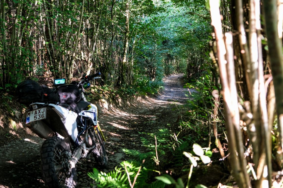 a remarkable road tucked away somewhere in the Ardennes