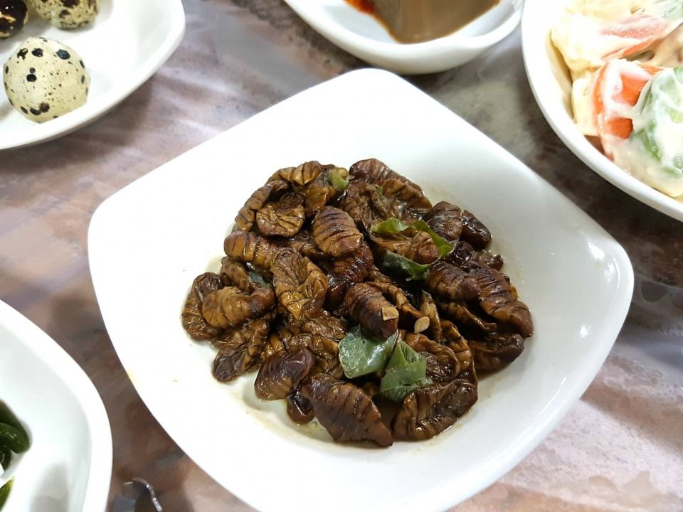 Bowl with worms