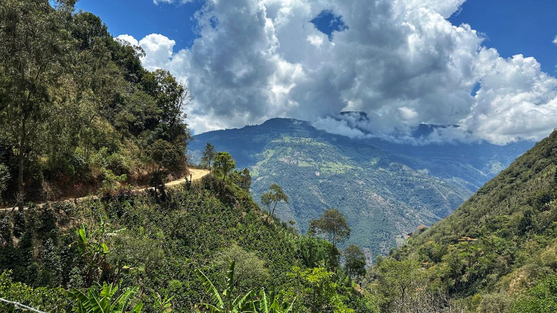 Near San Andrés