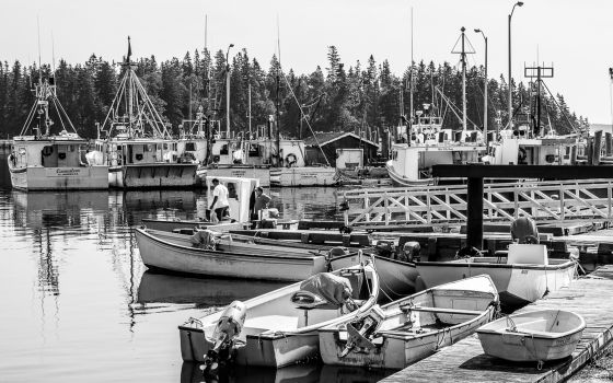 RTWPaul: Newfoundland and Labrador