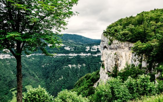 Away from the Alps Vercors & Chartreuse