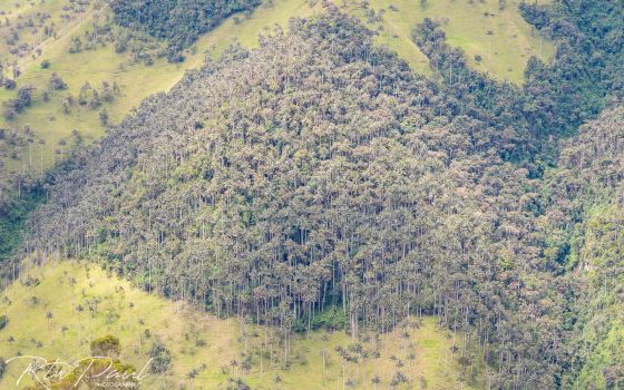 Colombia’s Paradise of Coffee and Dirt