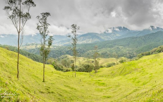 Colombia’s Paradise of Coffee and Dirt