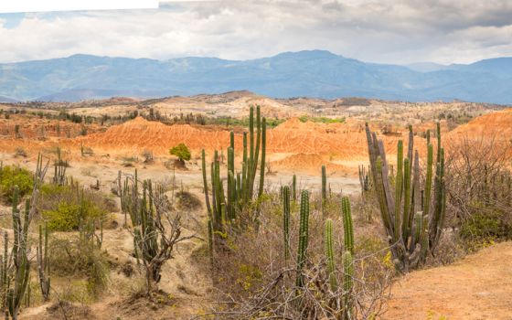 RTWPaul: Best Off-Roading in Colombia - Eastern Andes