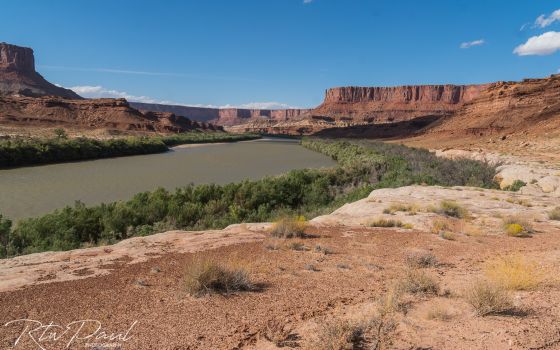 White Rim Trail, Moab, Utah