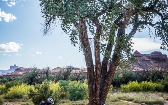 White Rim Trail, Moab, Utah