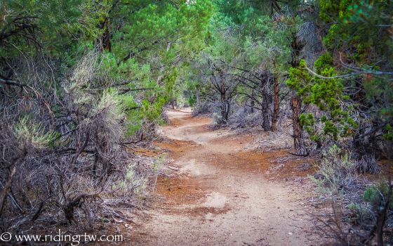 RTWPaul: America Coast to Coast on Dirt, The Trans America Trail