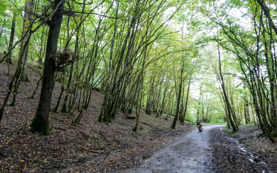 Ardennes off the beaten track