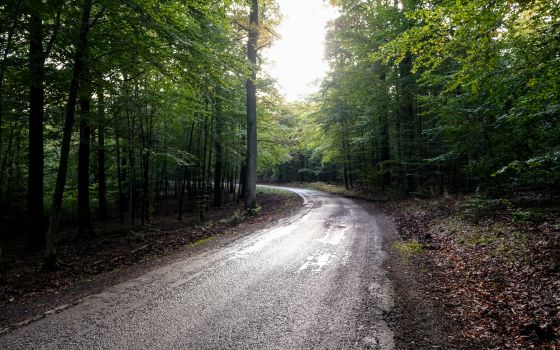 Ardennes off the beaten track