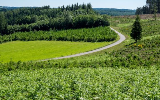 Along the Belgian border