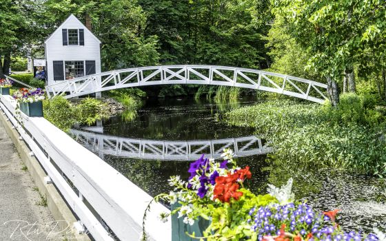 RTWPaul: Ride Maine…as much of it as you can!
