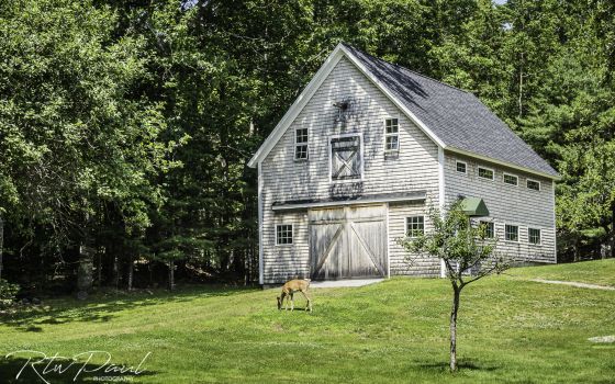 RTWPaul: Ride Maine…as much of it as you can!